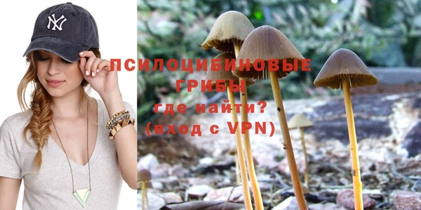 spice Абдулино