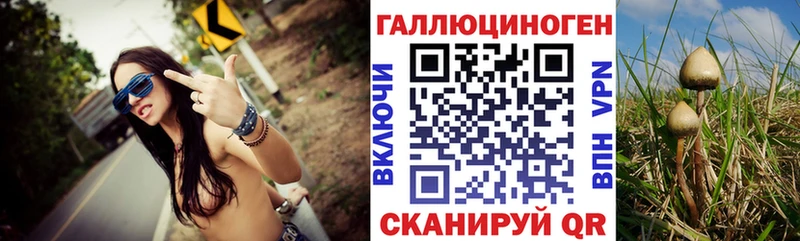 omg как зайти  Лодейное Поле  Галлюциногенные грибы Magic Shrooms  цены наркотик 